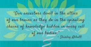 Shirley Abbott Quote Re: Ancestry