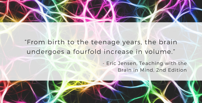 ric Jensen Quote Re: Brain Development