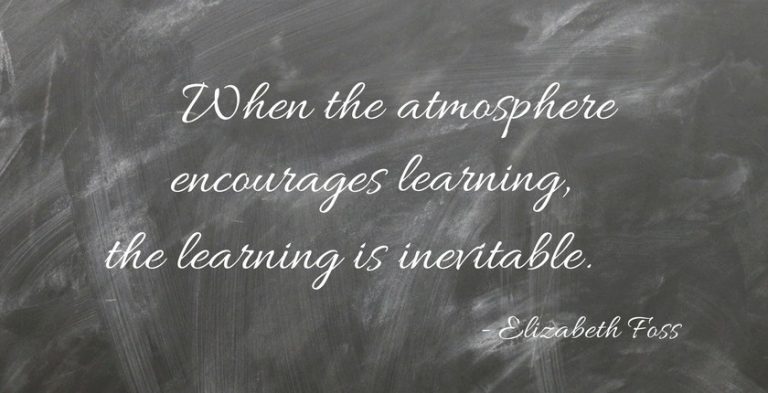 The Ingredients of a Learning Environment