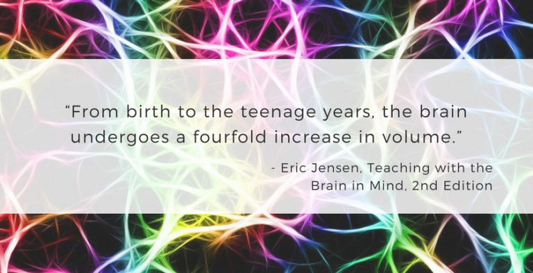 Developmentally Appropriate Schools = Well-Developed Brains