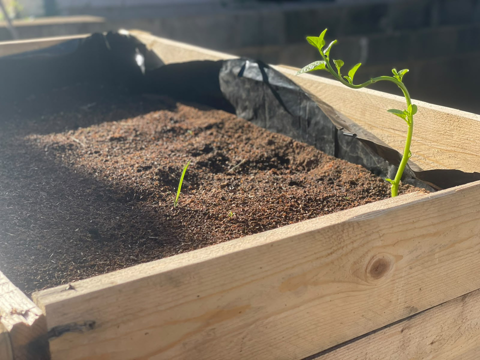 nielam pallettogarden (3)