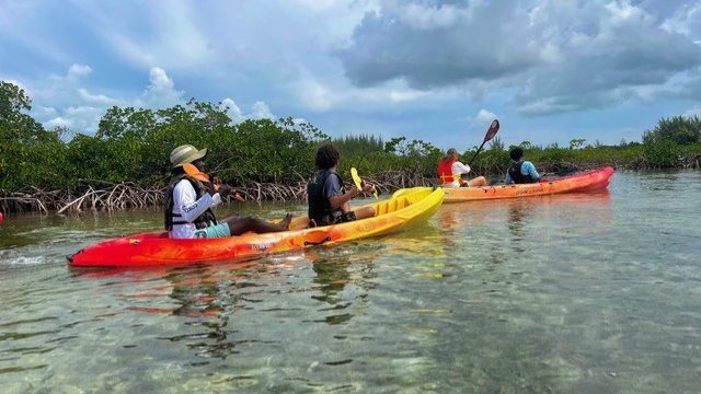 kayak