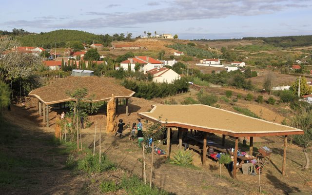 Enraizar